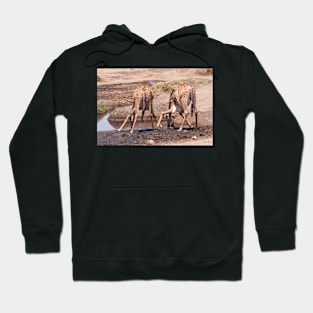 Serengeti Giraffe #8 Hoodie